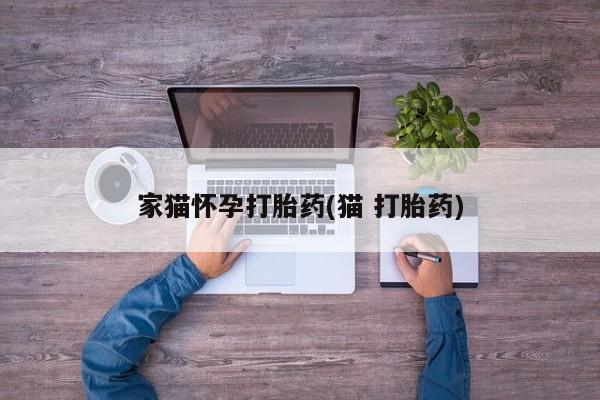 米非米索私人微信,打胎药私人店家猫怀孕打胎药(猫 打胎药)